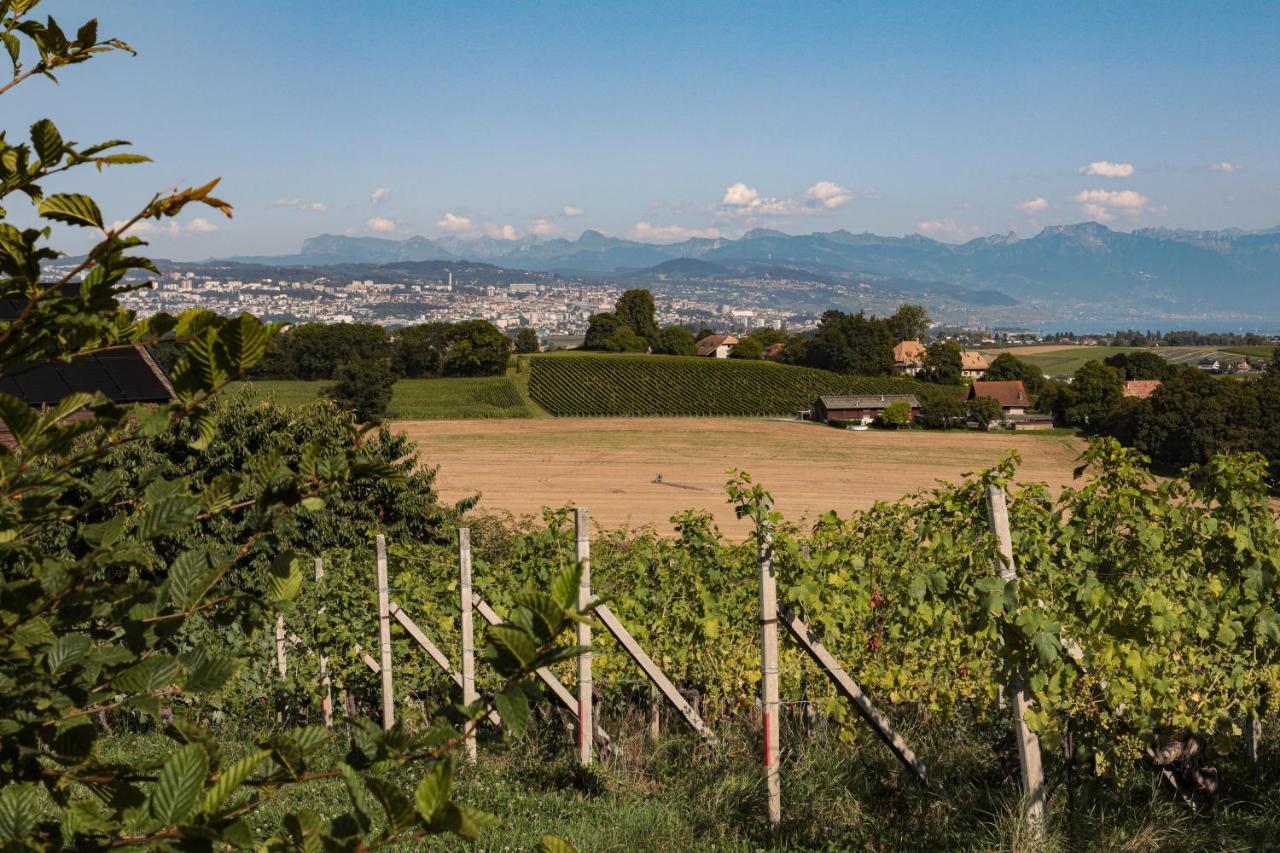 Les Volets Bleus Apartment Morges Exterior photo